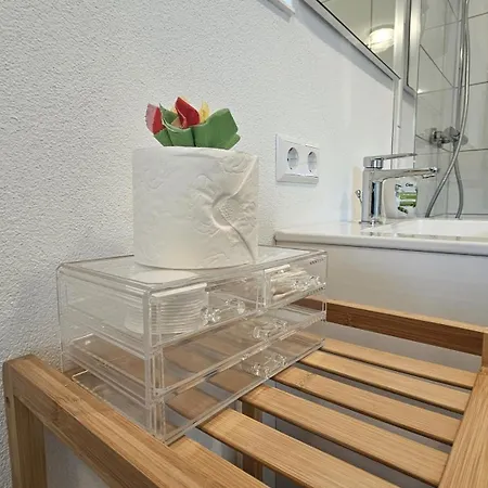 Schwarzwald Schonach Apartamento *