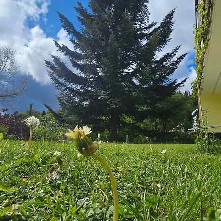 Schwarzwald Schonach Apartamento Schonach im Schwarzwald